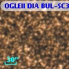OGLEII DIA BUL-SC32   2202