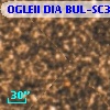 OGLEII DIA BUL-SC32   2496
