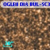 OGLEII DIA BUL-SC32   4049