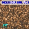 OGLEII DIA BUL-SC32   4151