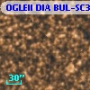 OGLEII DIA BUL-SC32   4321