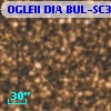 OGLEII DIA BUL-SC32   4495