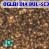 OGLEII DIA BUL-SC35    104