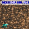 OGLEII DIA BUL-SC35    184