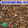 OGLEII DIA BUL-SC35    453
