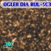 OGLEII DIA BUL-SC35    561