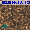OGLEII DIA BUL-SC35   1023