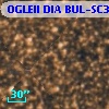 OGLEII DIA BUL-SC36    857