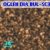 OGLEII DIA BUL-SC36    862