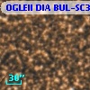 OGLEII DIA BUL-SC36   2170