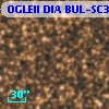 OGLEII DIA BUL-SC36   2551