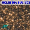 OGLEII DIA BUL-SC38     77
