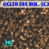 OGLEII DIA BUL-SC38   1101