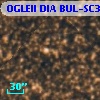 OGLEII DIA BUL-SC38   2248