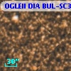 OGLEII DIA BUL-SC38   2685