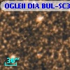 OGLEII DIA BUL-SC38   2894