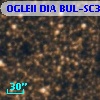 OGLEII DIA BUL-SC38   4812