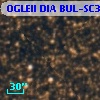 OGLEII DIA BUL-SC38   4958