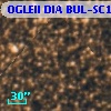 OGLEII DIA BUL-SC1   1394