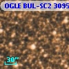 OGLE BUL-SC2   3095