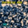 [SC96] GC 480