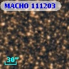 MACHO 111203