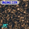 [RG96] 229