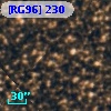 [RG96] 230