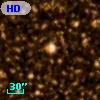 HD 167504