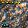 V* V2517 Sgr