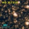 HD 317318