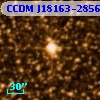CCDM J18163-2856B