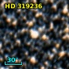HD 319236