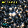 HD 319335