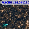 MACHO 116.24123.2368