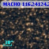 MACHO 116.24124.2364