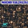 MACHO 116.24129.1921