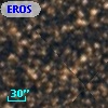 EROS2-BLG 31