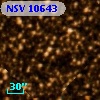 NSV 10643