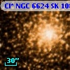 Cl* NGC 6624     SK    1081