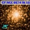 Cl* NGC 6624     SK    1141