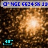 Cl* NGC 6624     SK    1167