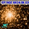 Cl* NGC 6624     SK    1202