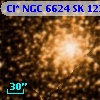 Cl* NGC 6624     SK    1234