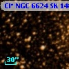 Cl* NGC 6624     SK    1482