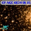 Cl* NGC 6624     SK    1519