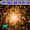 Cl* NGC 6624     SK    3135