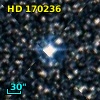 HD 170236