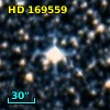 HD 169559