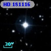 HD 181116